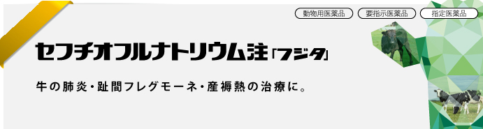 セフチオフルナトリウム注「フジタ」