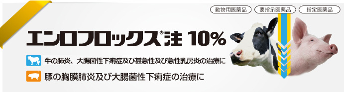 エンロフロックス®注10%