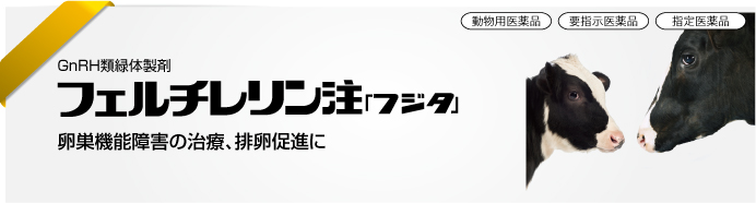 フェルチレリン注「フジタ」