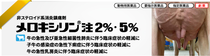 メロキシリン<sup>®</sup>注2％・5％
