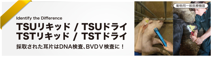 TSU リキッド／TSU ドライ<br />TST リキッド／TST ドライ